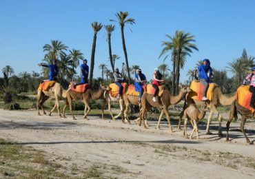 camel ride 65