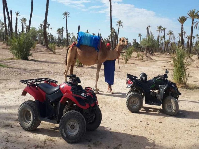 combine-quad-dromadaire-marrakech (Copier)