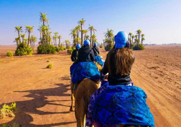 marrakech-camel-ride-at-the-palm-grove-5 (Copier)