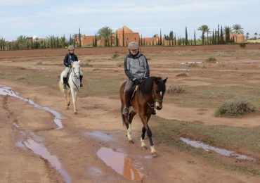 ob_3ef747_marrakech-80 (Copier)