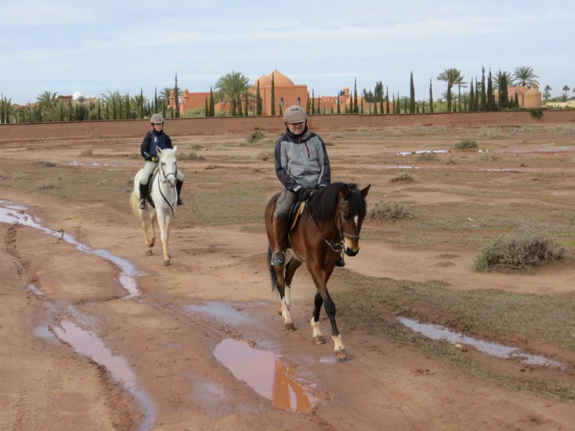 ob_3ef747_marrakech-80 (Copier)